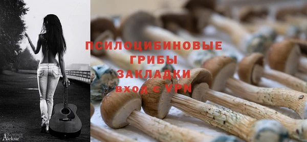 ALPHA PVP Армянск