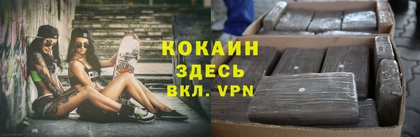 прущие грибы Аркадак