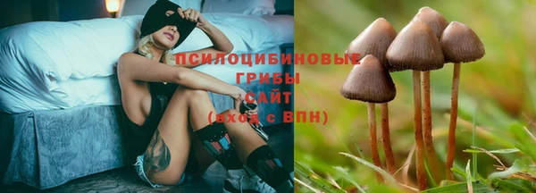 ALPHA PVP Армянск