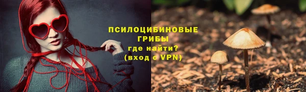 прущие грибы Аркадак