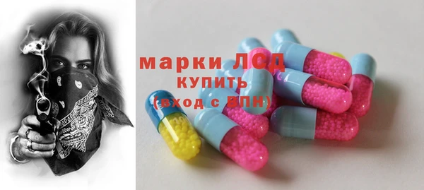 прущие грибы Аркадак