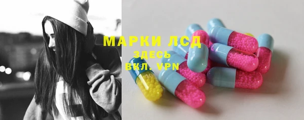 прущие грибы Аркадак
