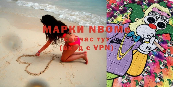 прущие грибы Аркадак