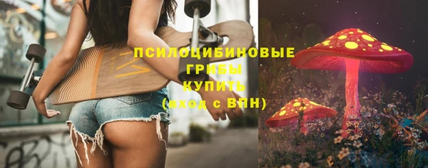 прущие грибы Аркадак